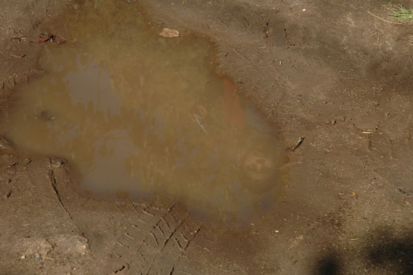 SF012905064