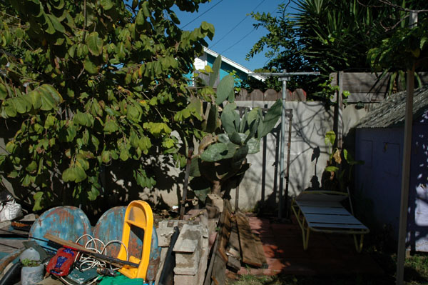 SF012905216