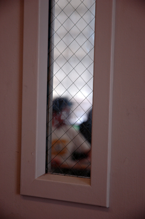 DSC_0031